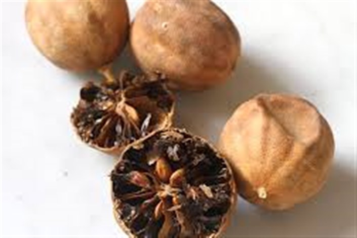مشاوره فروش لیمو عمانی